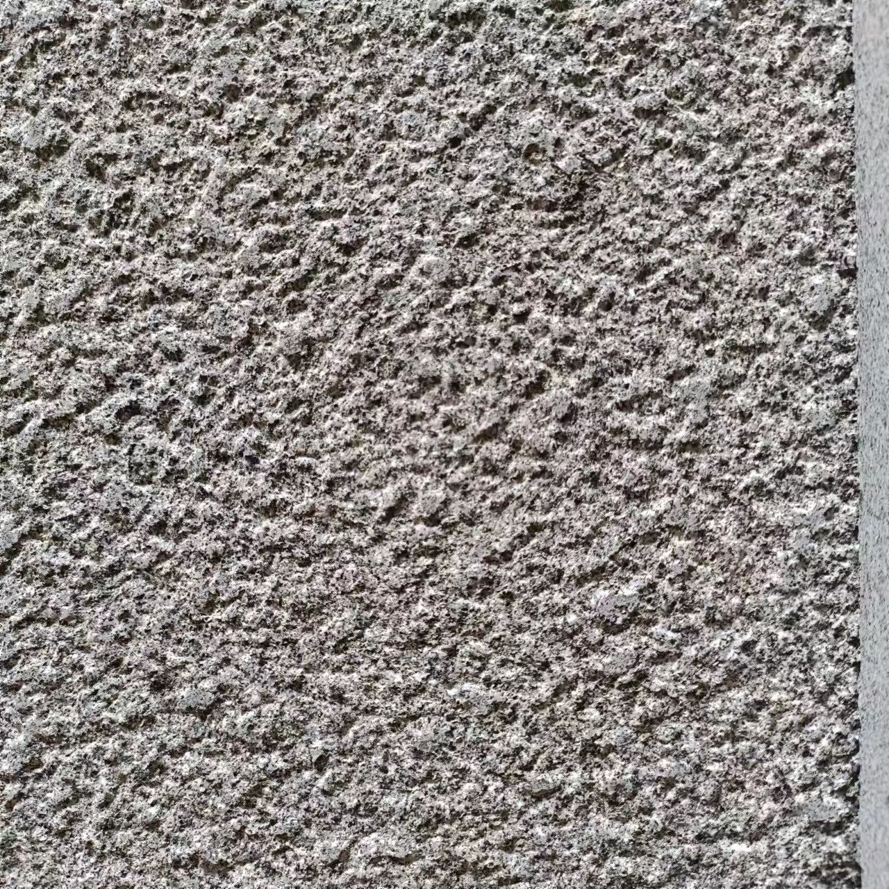 芝麻黑荔枝面生产